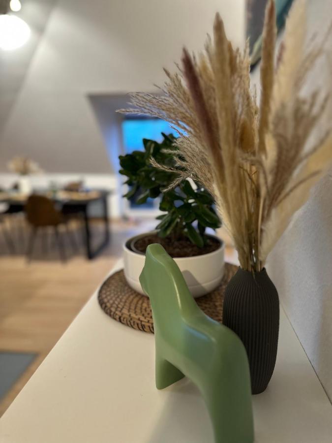 Oasis Appart - Wohnen Am Elbtal - Balkon - Netflix - Tiefgarage Дрезден Екстериор снимка