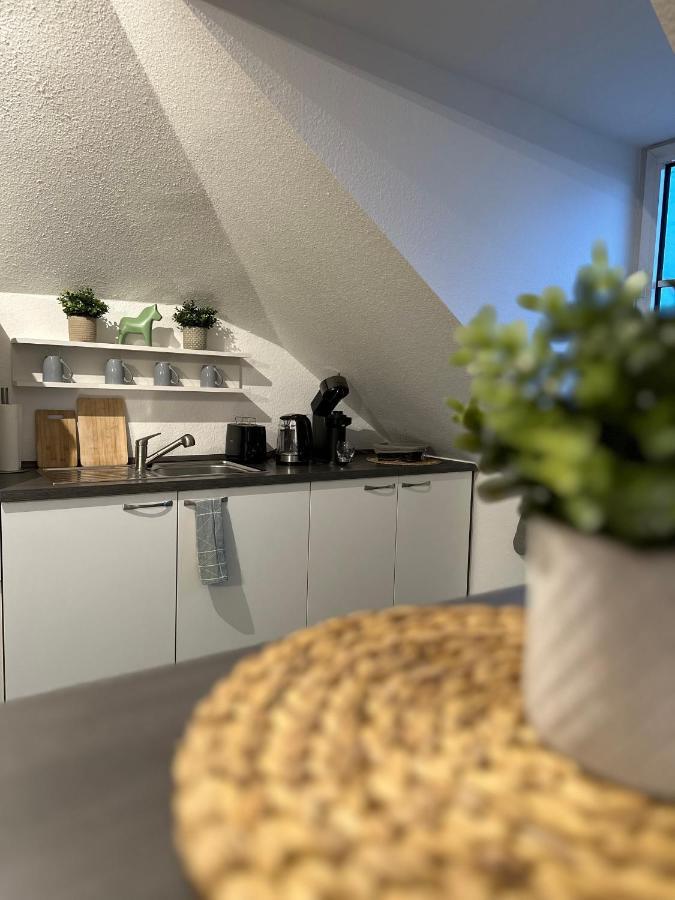 Oasis Appart - Wohnen Am Elbtal - Balkon - Netflix - Tiefgarage Дрезден Екстериор снимка