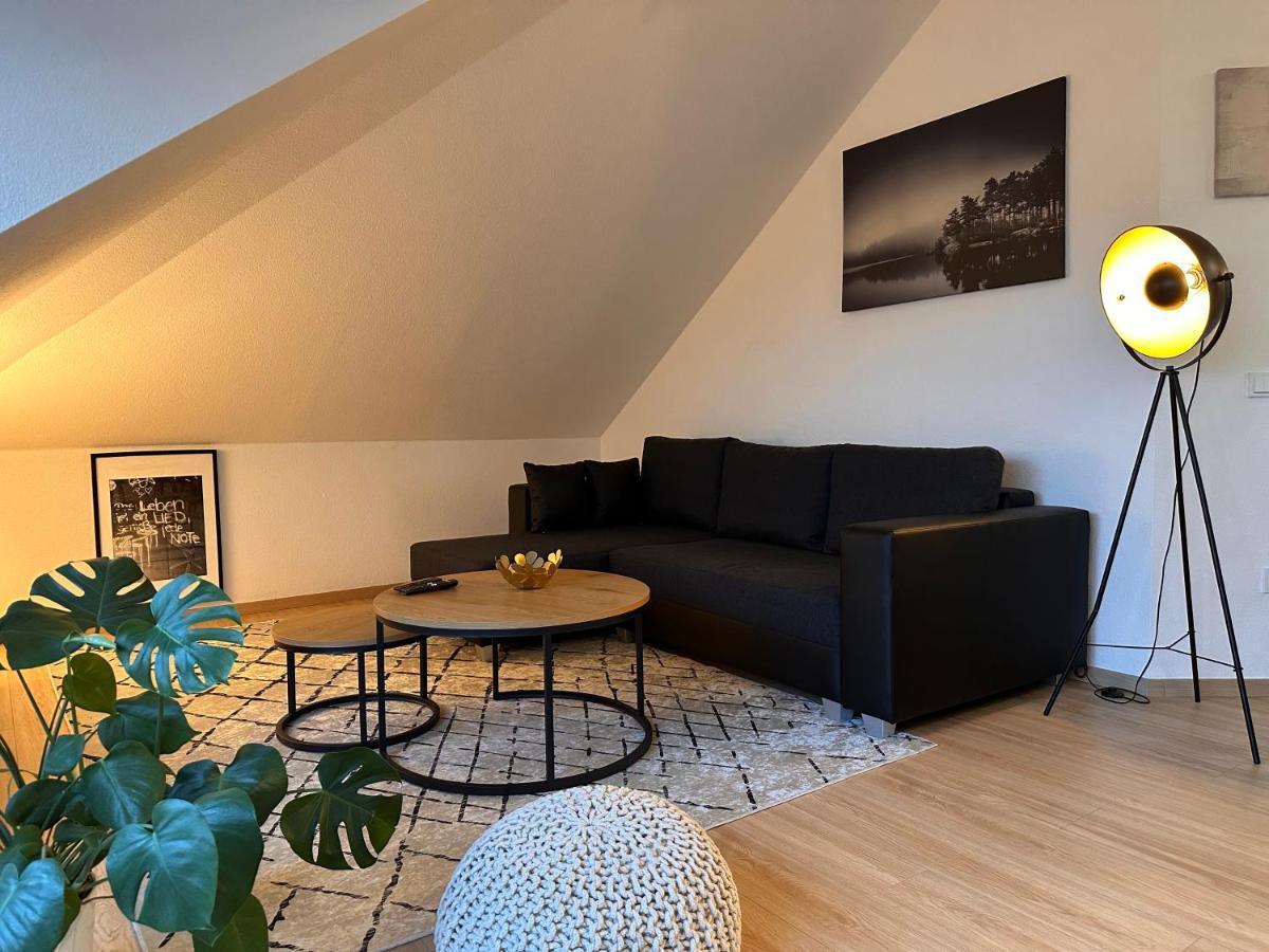 Oasis Appart - Wohnen Am Elbtal - Balkon - Netflix - Tiefgarage Дрезден Екстериор снимка